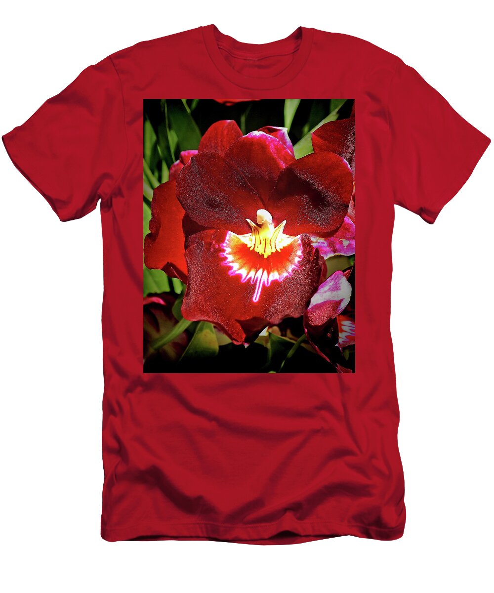 Orchid T-Shirt featuring the photograph Miltonia Orchid by Kenneth Roberts