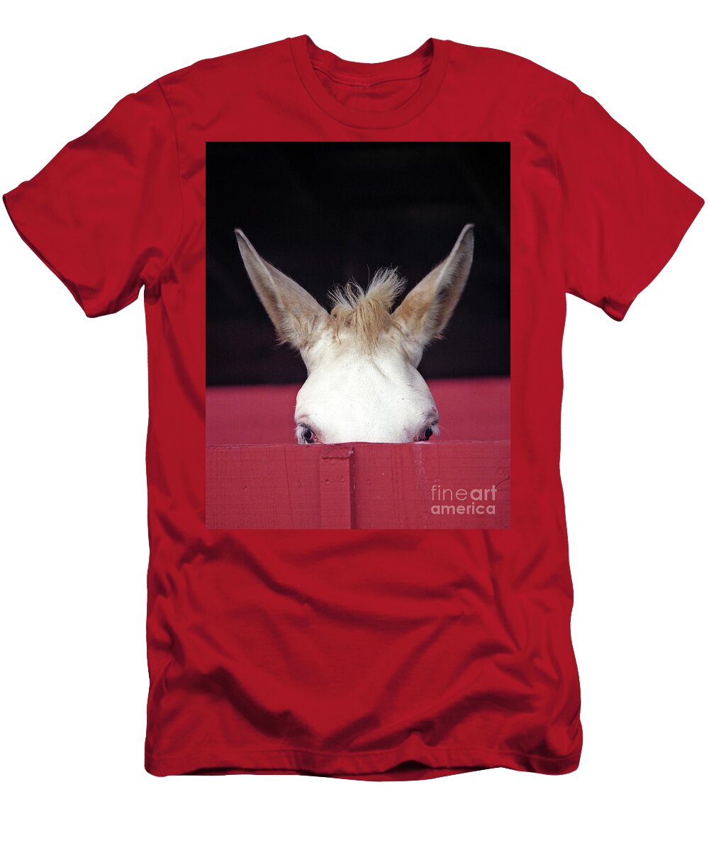Mule T-Shirt featuring the photograph Mule Ears by Carien Schippers