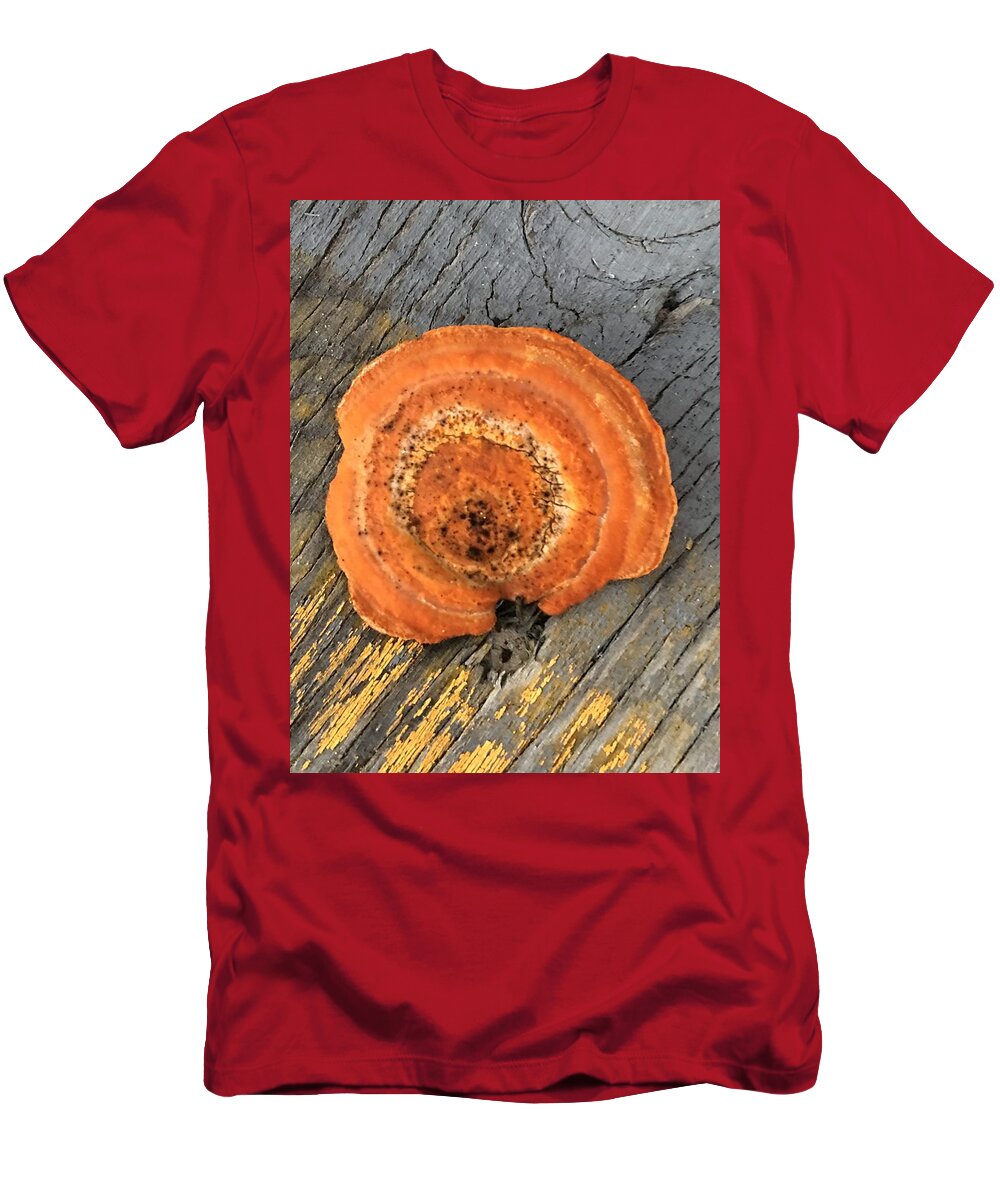 Mushroom T-Shirt by Koula Xexenis - Pixels
