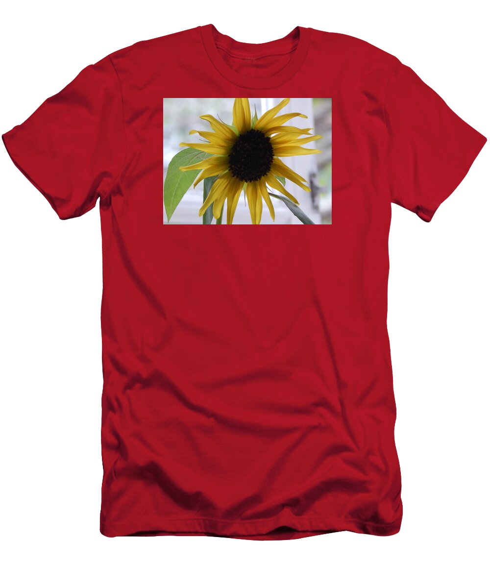 Sunflowers Sunflower Nature Flowers T-Shirt featuring the photograph My Beautiful Sunflower by Sharon Denisewicz