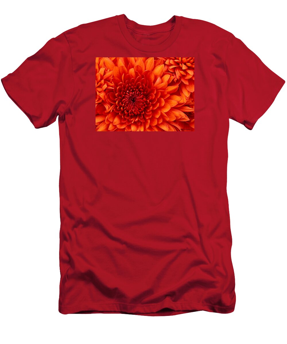 Chrysanthemums T-Shirt featuring the photograph Orange Bloom by Marian Lonzetta