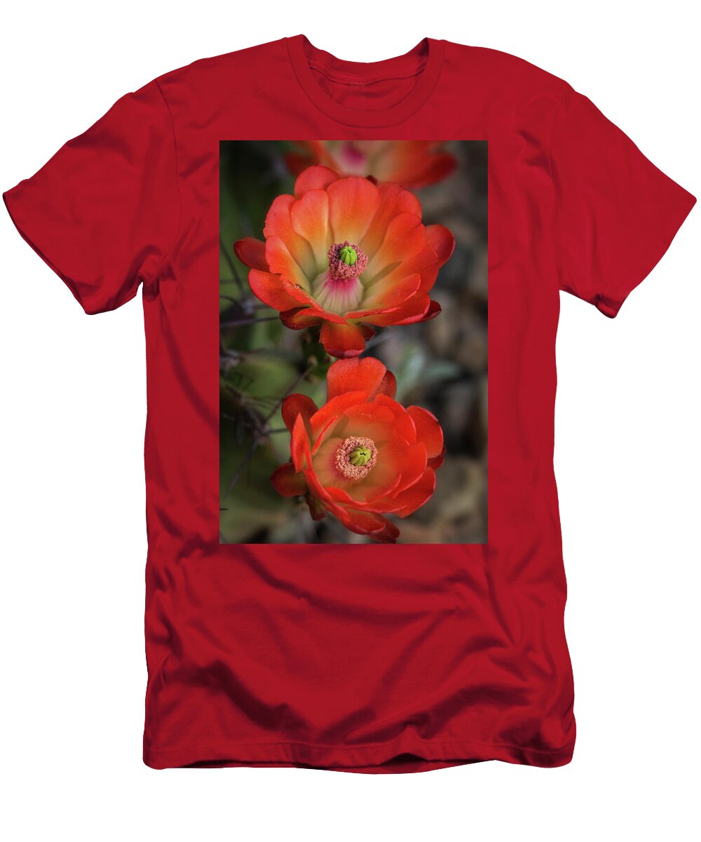 Claret Cup Cactus T-Shirt featuring the photograph Orange Claret Dreams by Saija Lehtonen