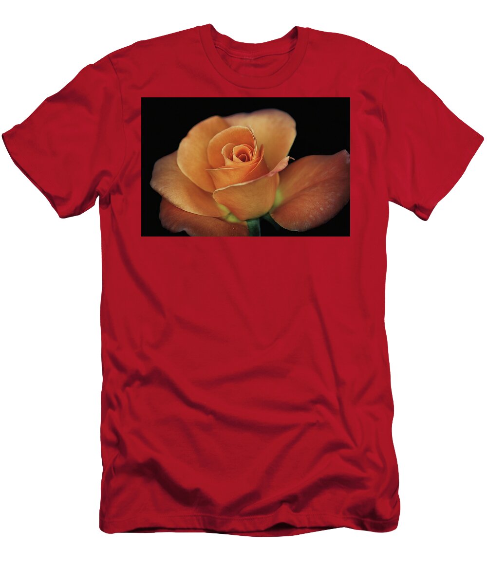 Roses T-Shirt featuring the photograph Orange Cream by Elaine Malott