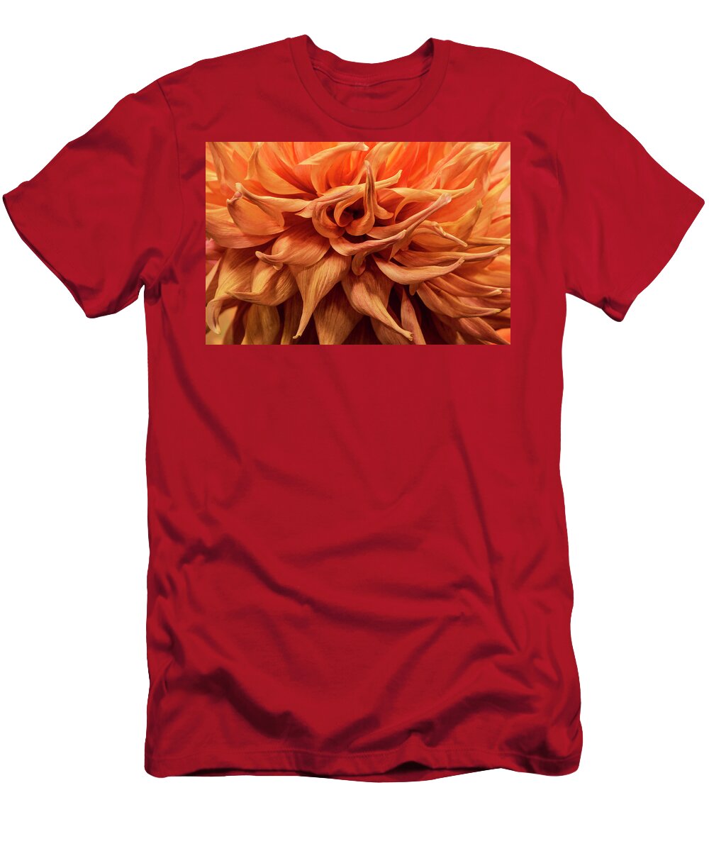 Plant T-Shirt featuring the photograph Orange Dahlia Flower Closeup by Randall Nyhof