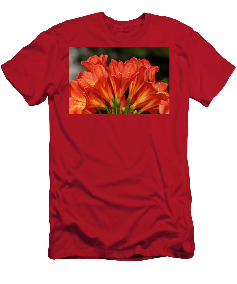 Kaffir T-Shirt featuring the photograph Orange Delight - Kaffir Lily by Carol Senske