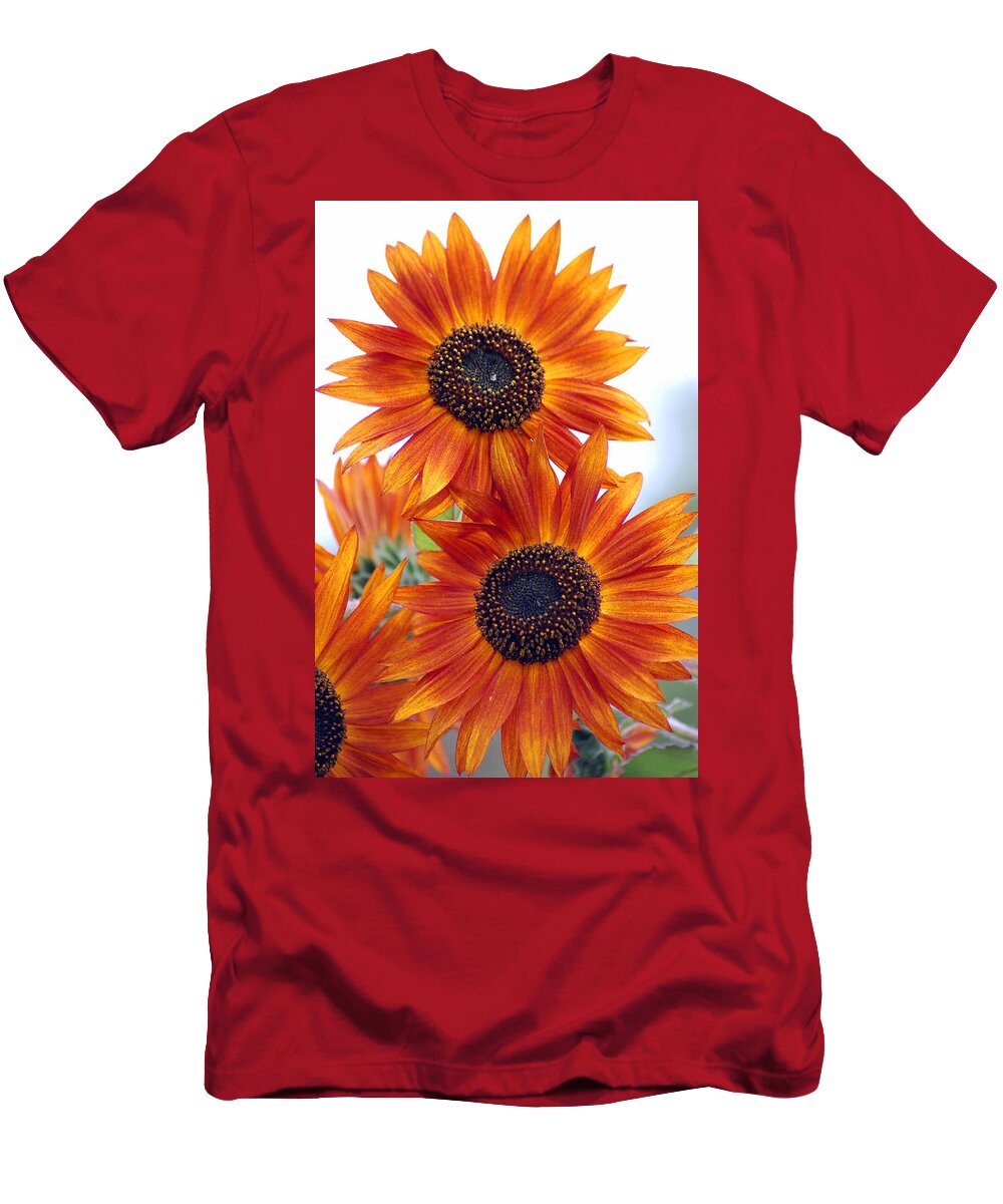 Sunflower T-Shirt featuring the photograph Orange Sunflower 2 by Amy Fose