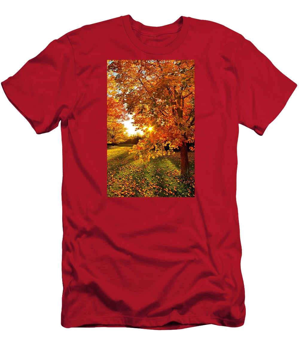Autumn T-Shirt featuring the photograph Orange You Glad by Phil Koch