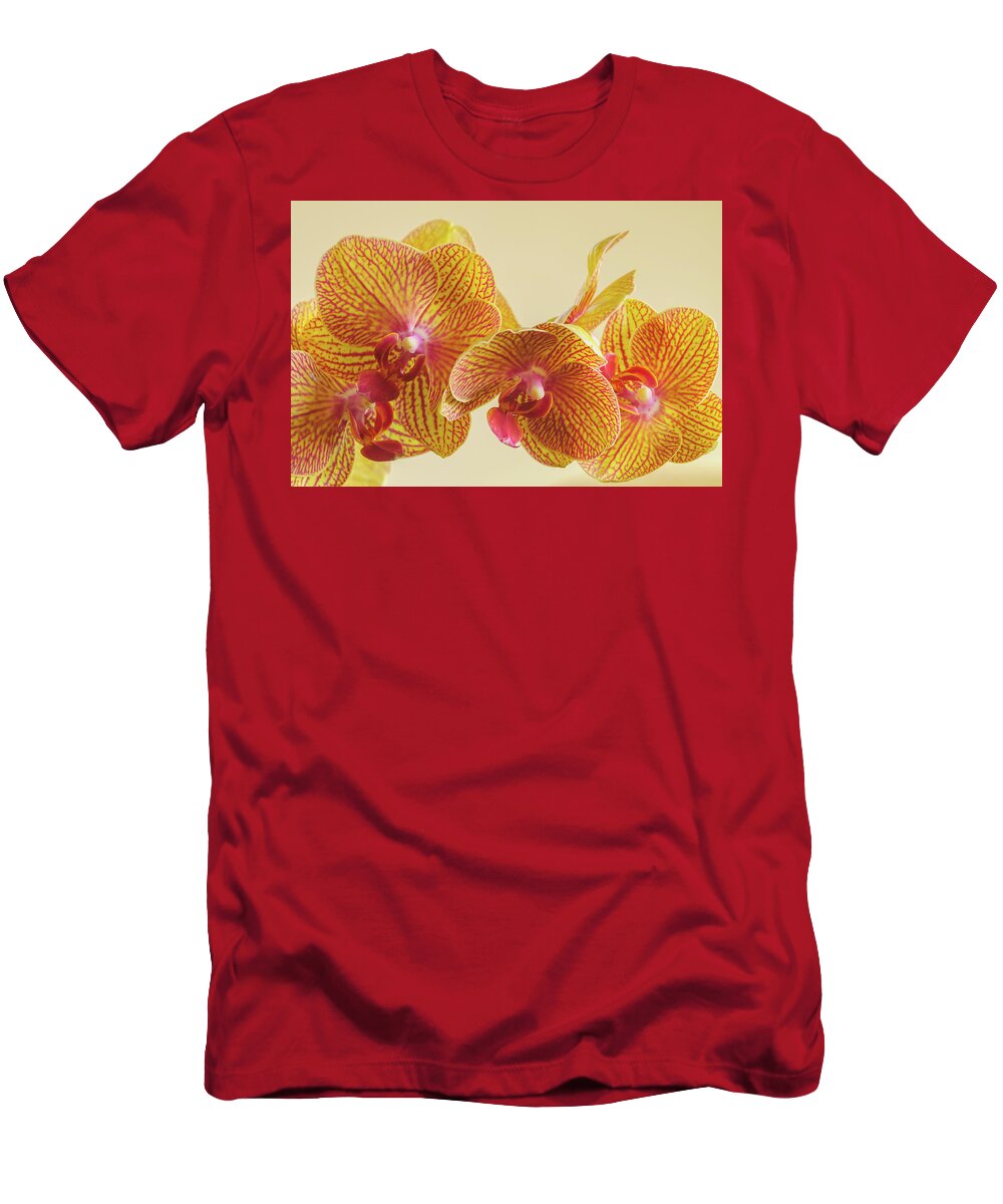 Beauty T-Shirt featuring the photograph Orchids by Bob Grabowski