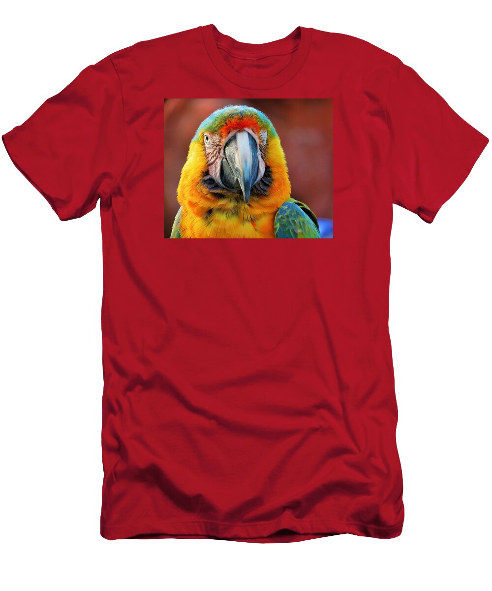 Birds T-Shirt featuring the photograph Parrot Portrait by Vijay Sharon Govender