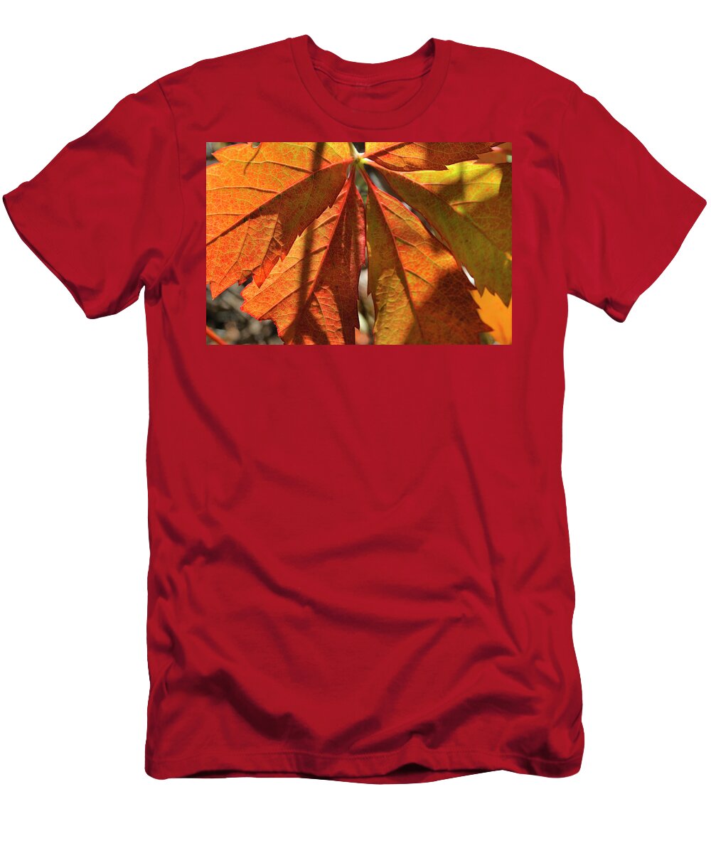 Nature T-Shirt featuring the photograph Patterns In Orange by Ron Cline