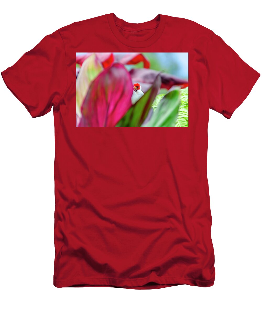 Bird T-Shirt featuring the photograph Peeking between the leaves by Daniel Murphy