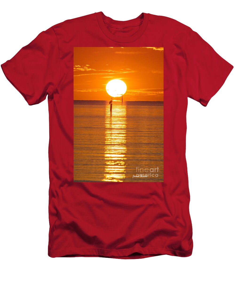 Pelicans T-Shirt featuring the photograph Pelican Sunset by Metaphor Photo