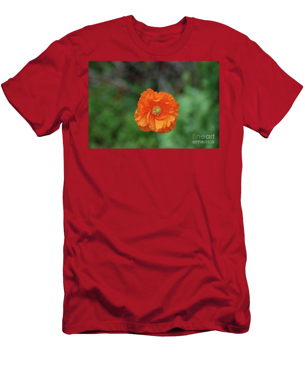 Poppy T-Shirt featuring the photograph Perfect Orange California Poppy Flower Blossom by DejaVu Designs