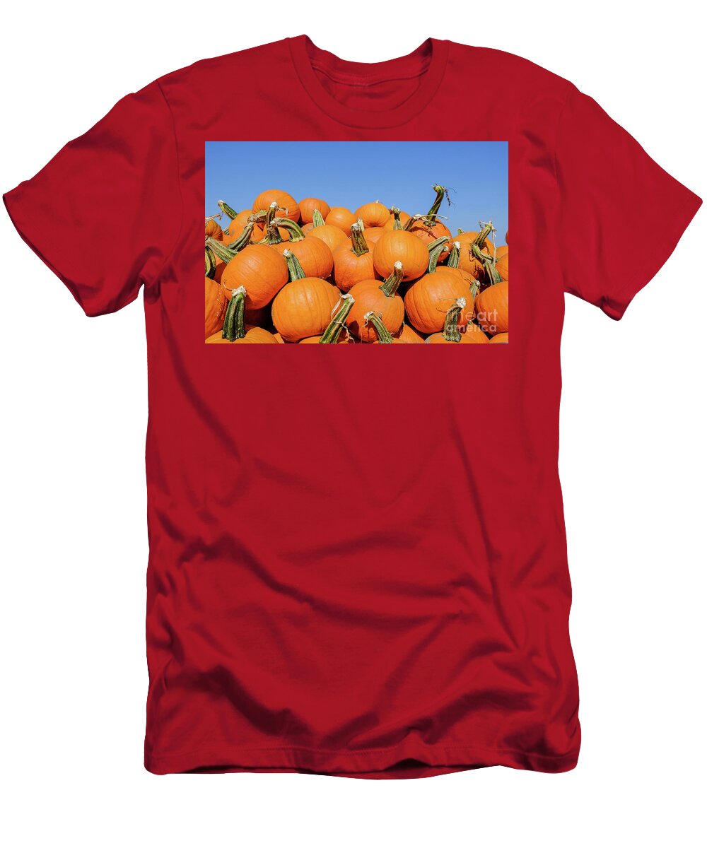 Pumpkin T-Shirt featuring the photograph Pile of pumpkins by Iryna Liveoak