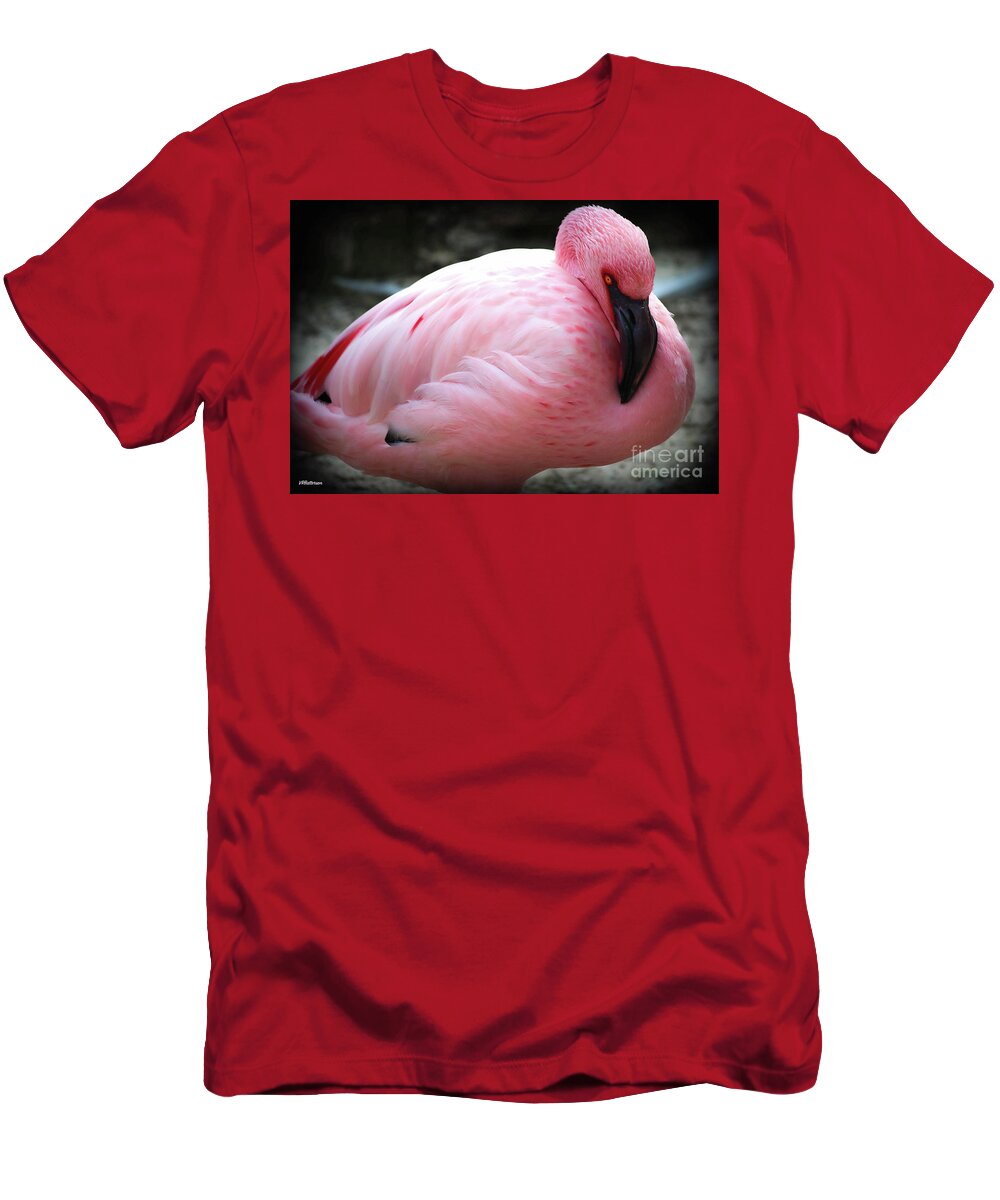 Pink T-Shirt featuring the photograph Pink at the Memphis Zoo by Veronica Batterson