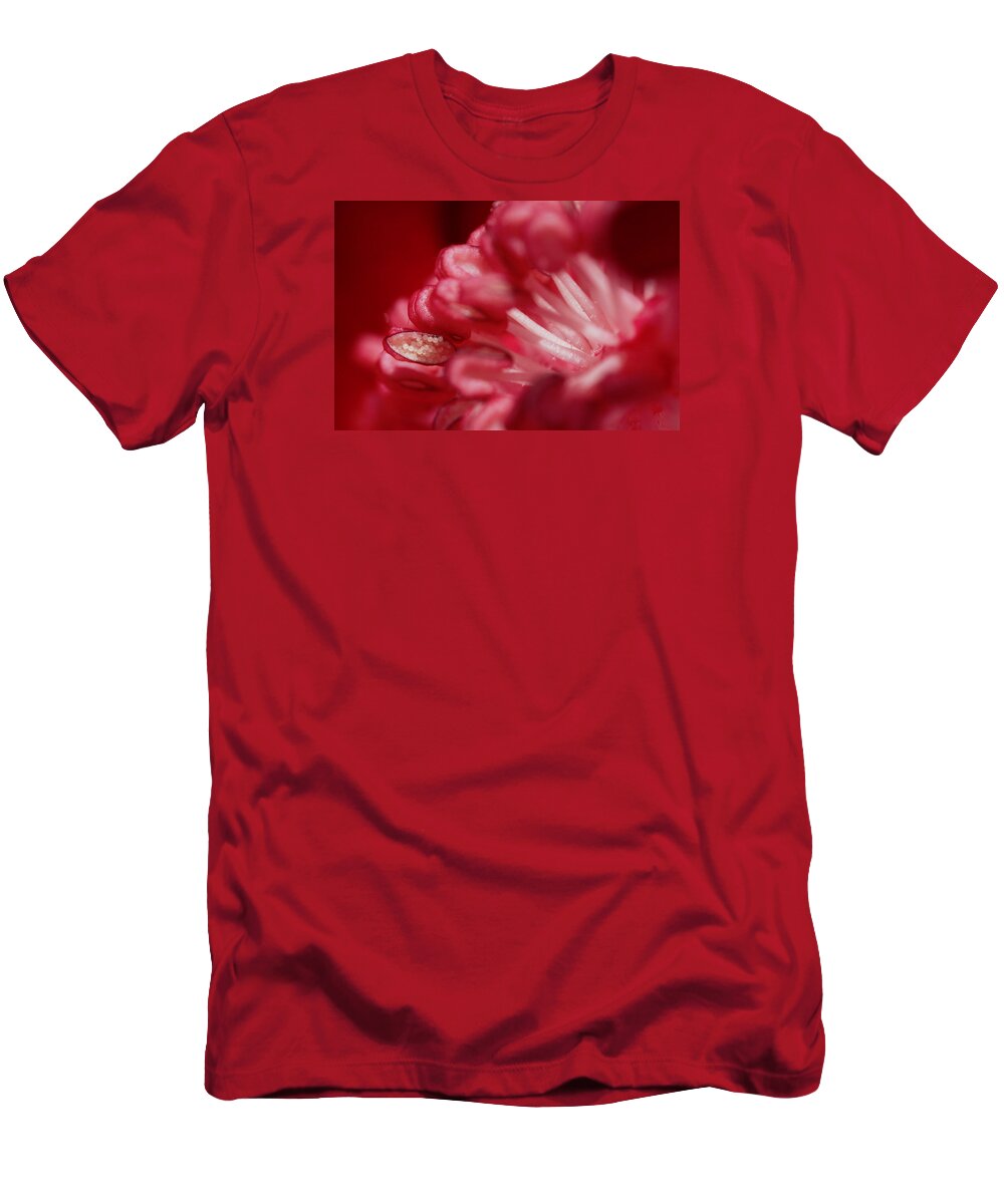 Flower T-Shirt featuring the photograph Pink Delight by Robert Och