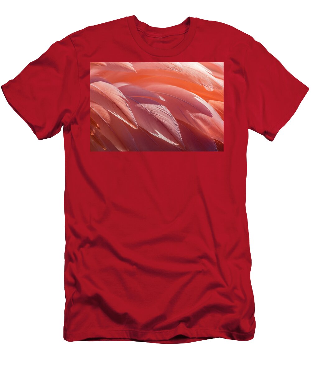 Abstract T-Shirt featuring the photograph Pink Flamingo by Holly Ross