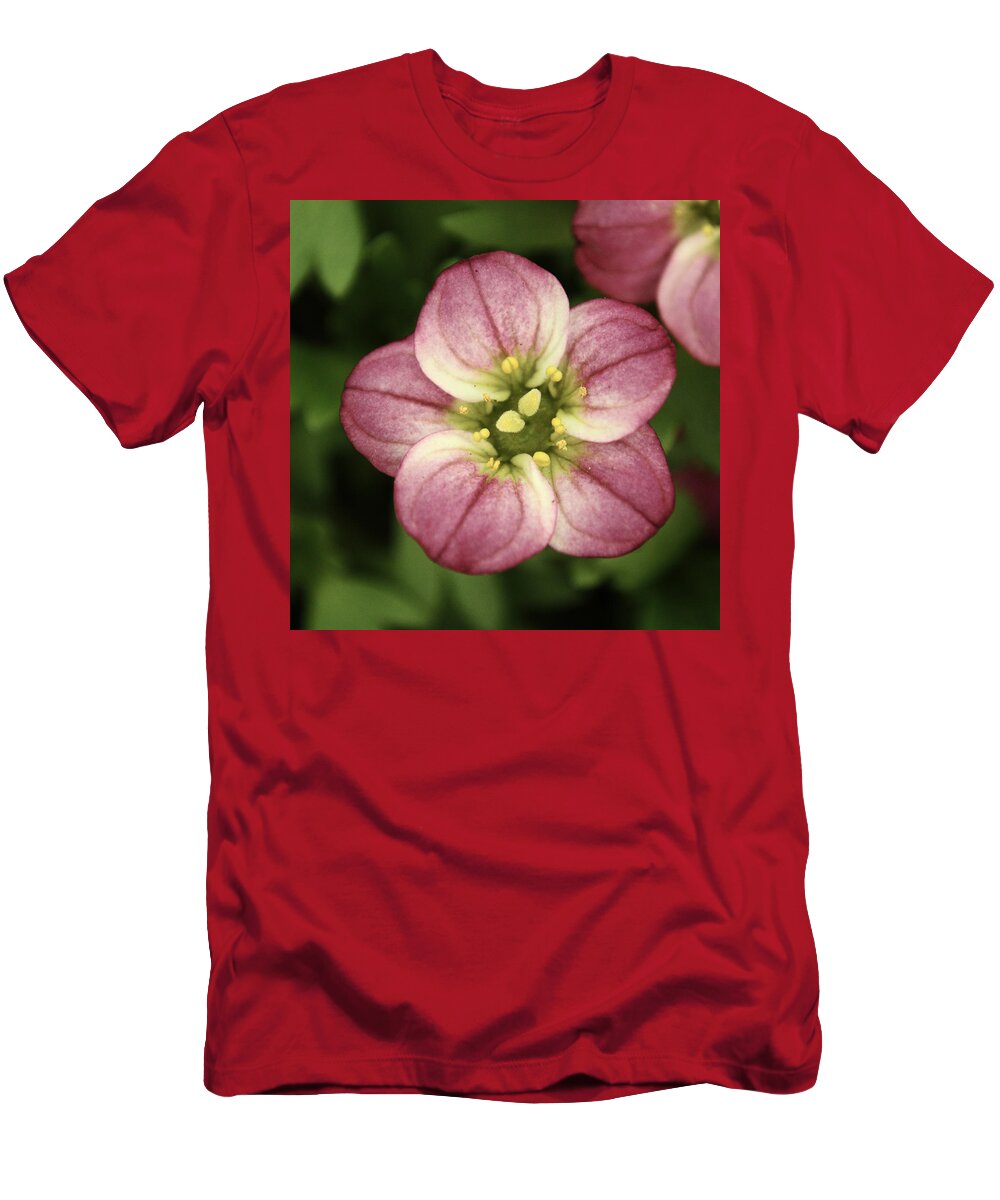 Flower T-Shirt featuring the photograph Pink Saxifraga by Adrian Wale