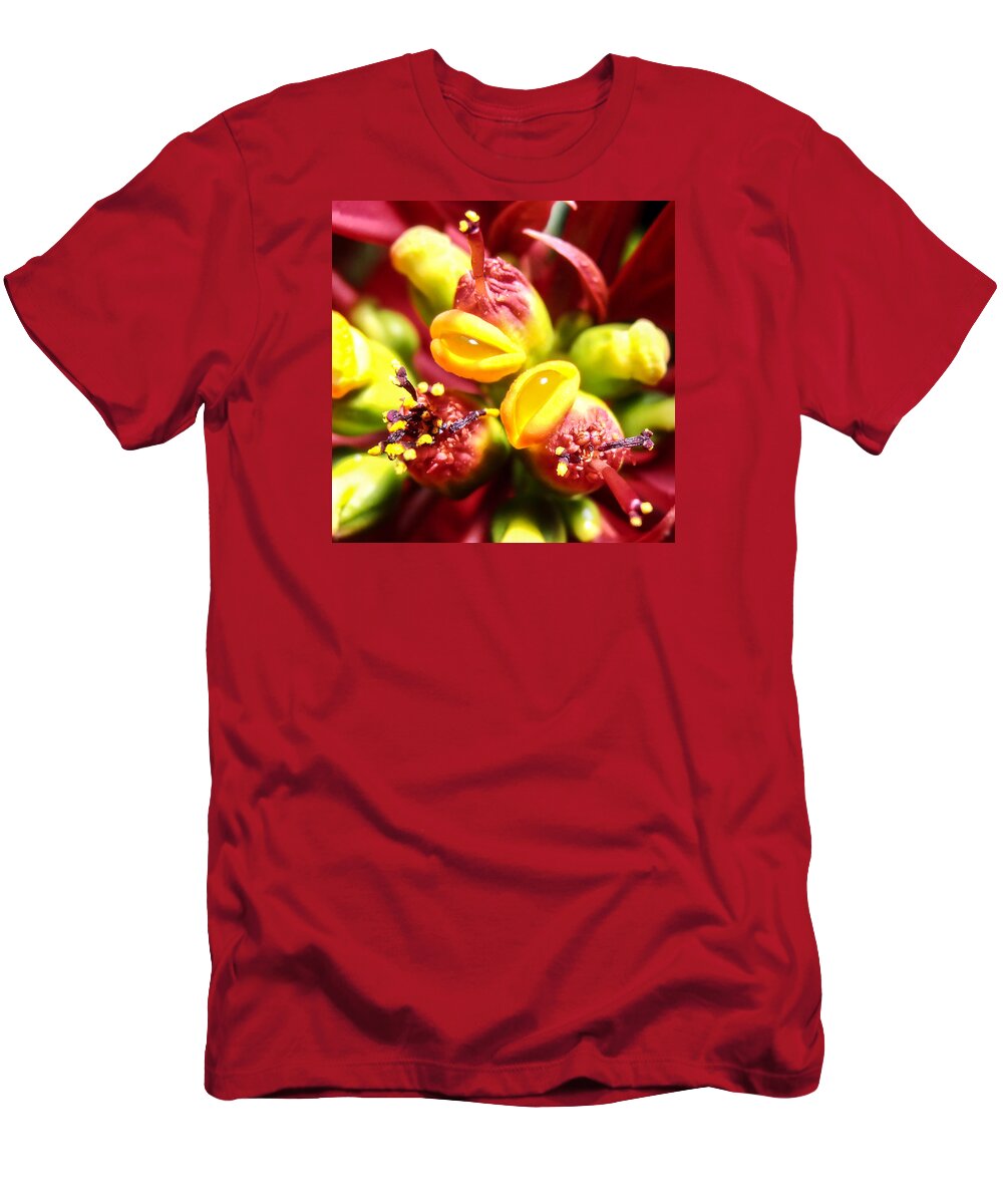 Poinsettia T-Shirt featuring the photograph Poinsettia Flower by Stan Magnan