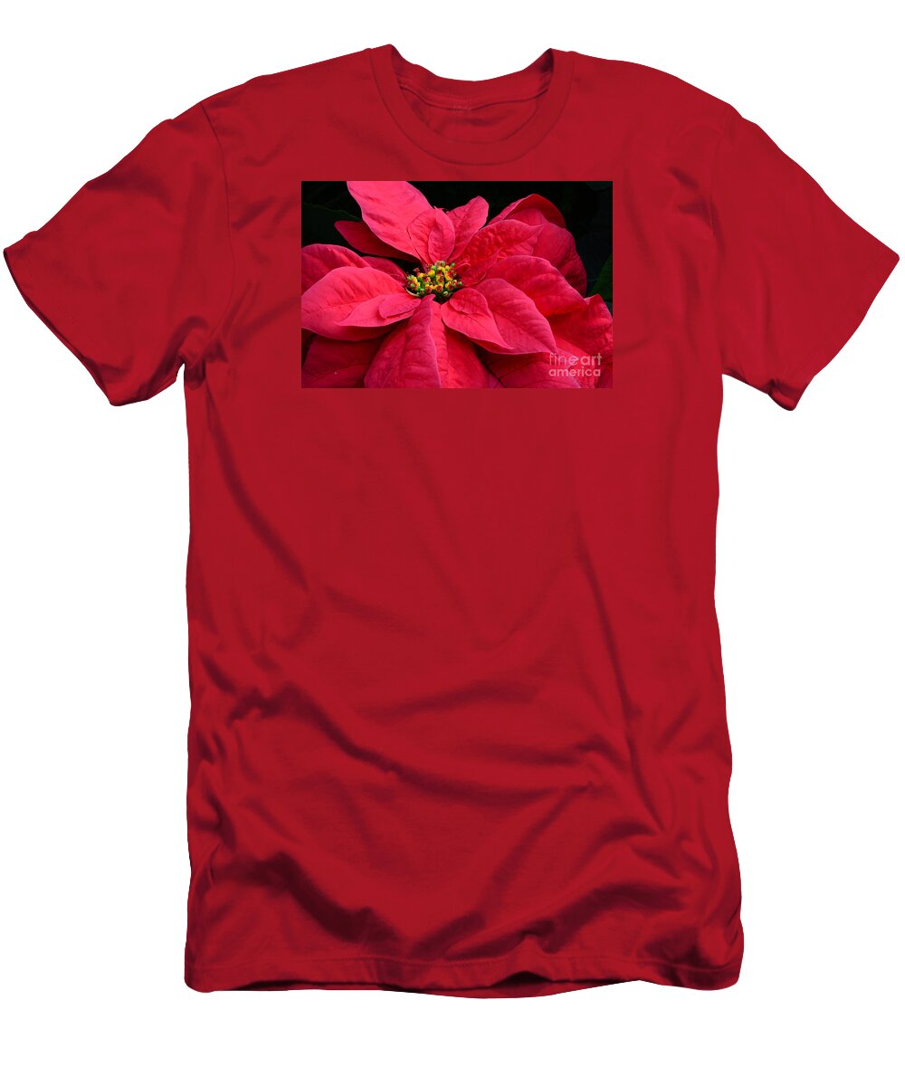 Flowers T-Shirt featuring the photograph Pointsettia Close Up by Cindy Manero
