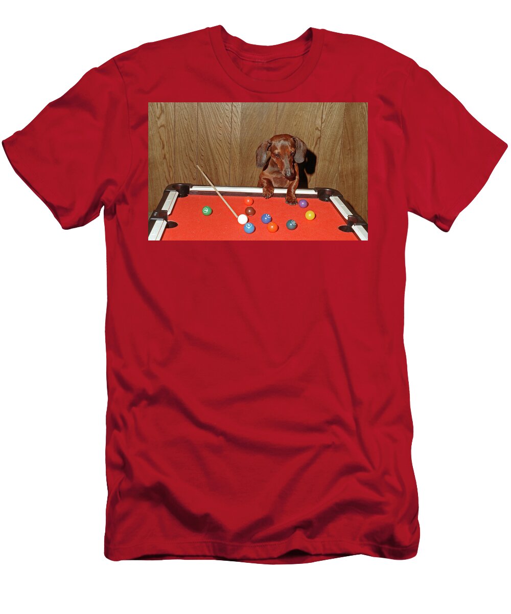 Dog T-Shirt featuring the photograph Pool Playing Dog by Ted Keller