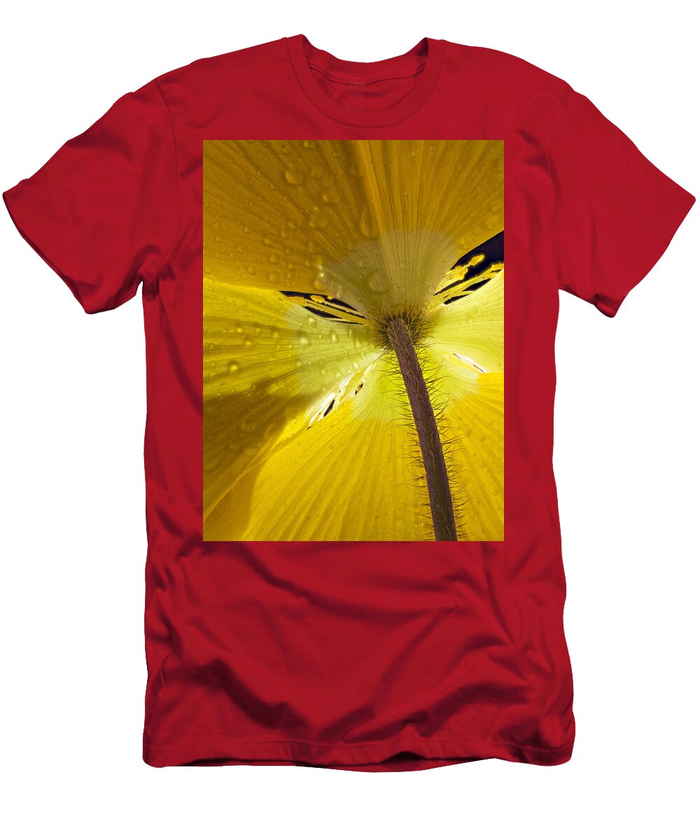 Color T-Shirt featuring the photograph Poppy Backside by Jean Noren