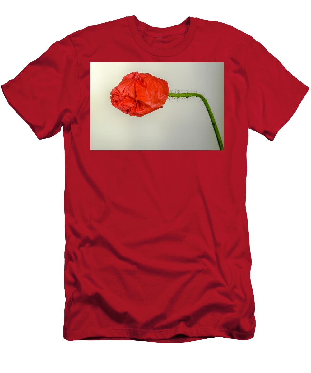 Poppies T-Shirt featuring the photograph Posing fire red poppy by Wolfgang Stocker