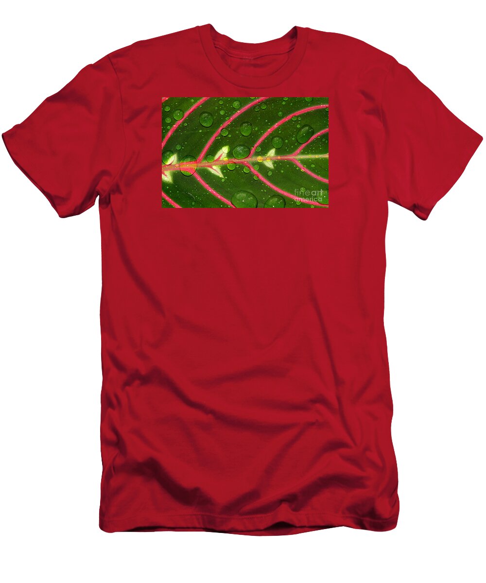 Prayer Plant T-Shirt featuring the photograph Prayer Plant Horizontal by Karen Adams