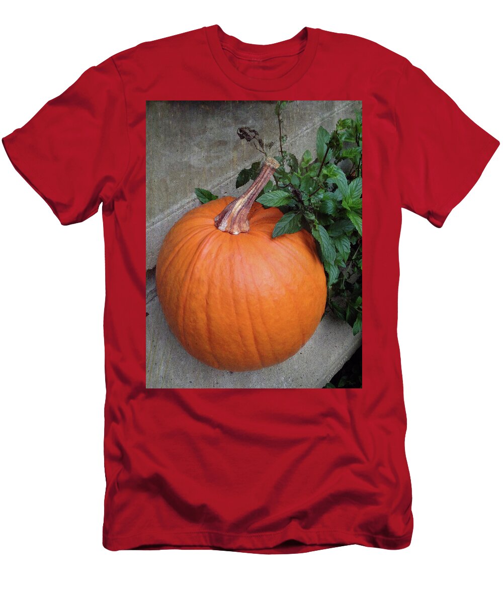 Pumpkin T-Shirt featuring the photograph Pumpkin by Terri Harper