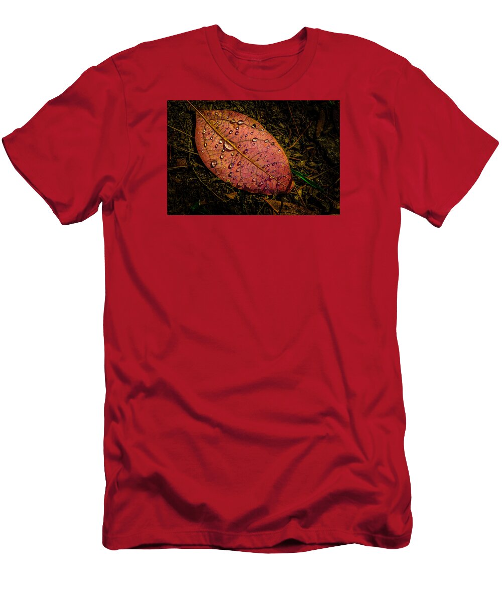 Raindrops T-Shirt featuring the photograph Raindrops on the Fallen - i by Mark Rogers