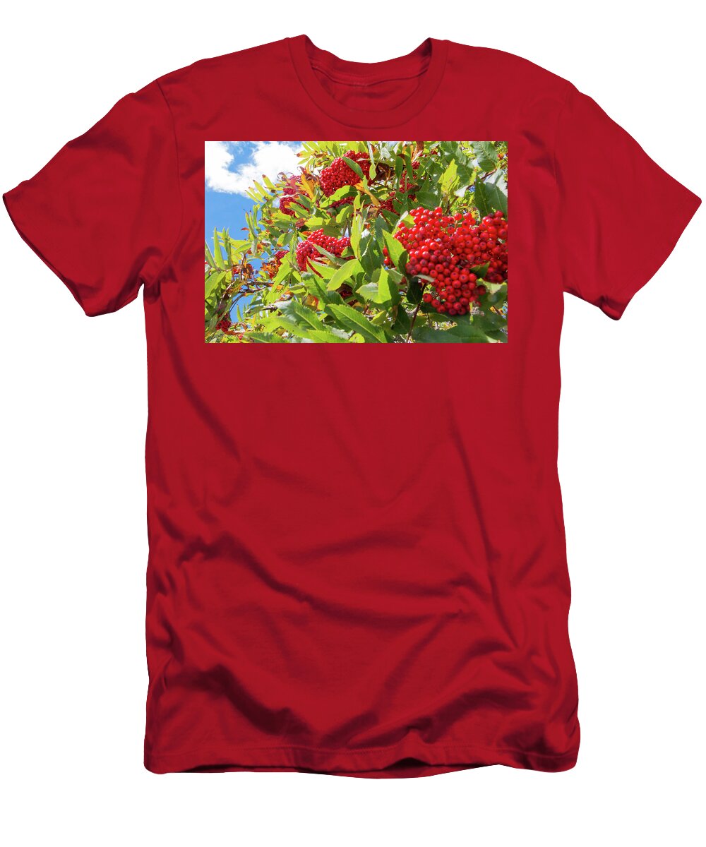 Red T-Shirt featuring the photograph Red Berries, Blue Skies by D K Wall