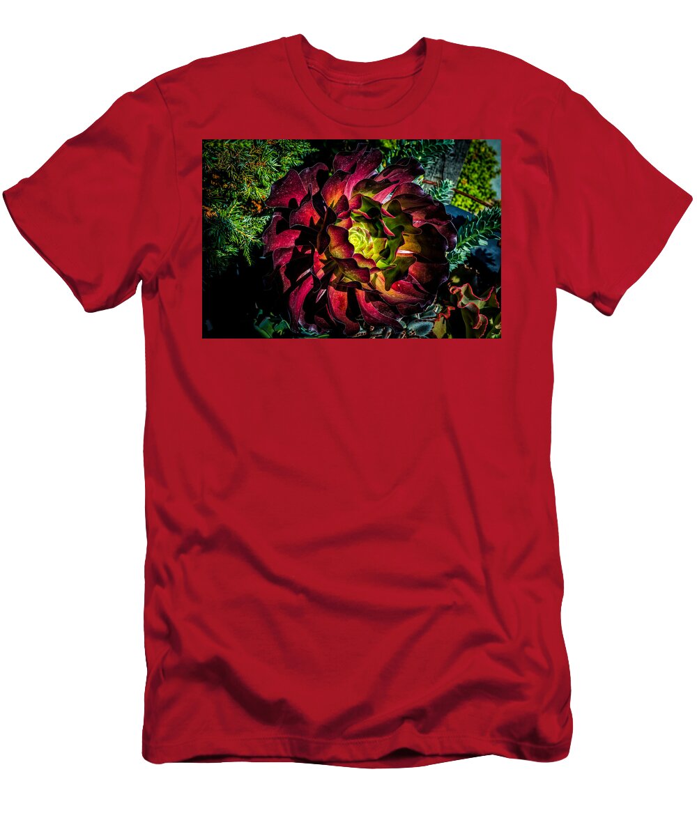 Red Flower T-Shirt featuring the photograph Red flower by Lilia S