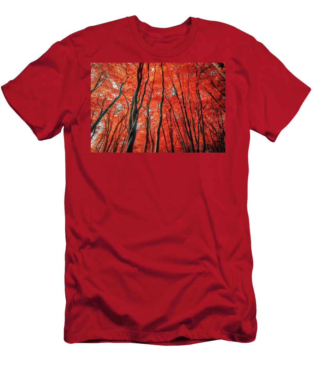 Red Forest T-Shirt featuring the photograph Red Forest of Sunlight by John Williams