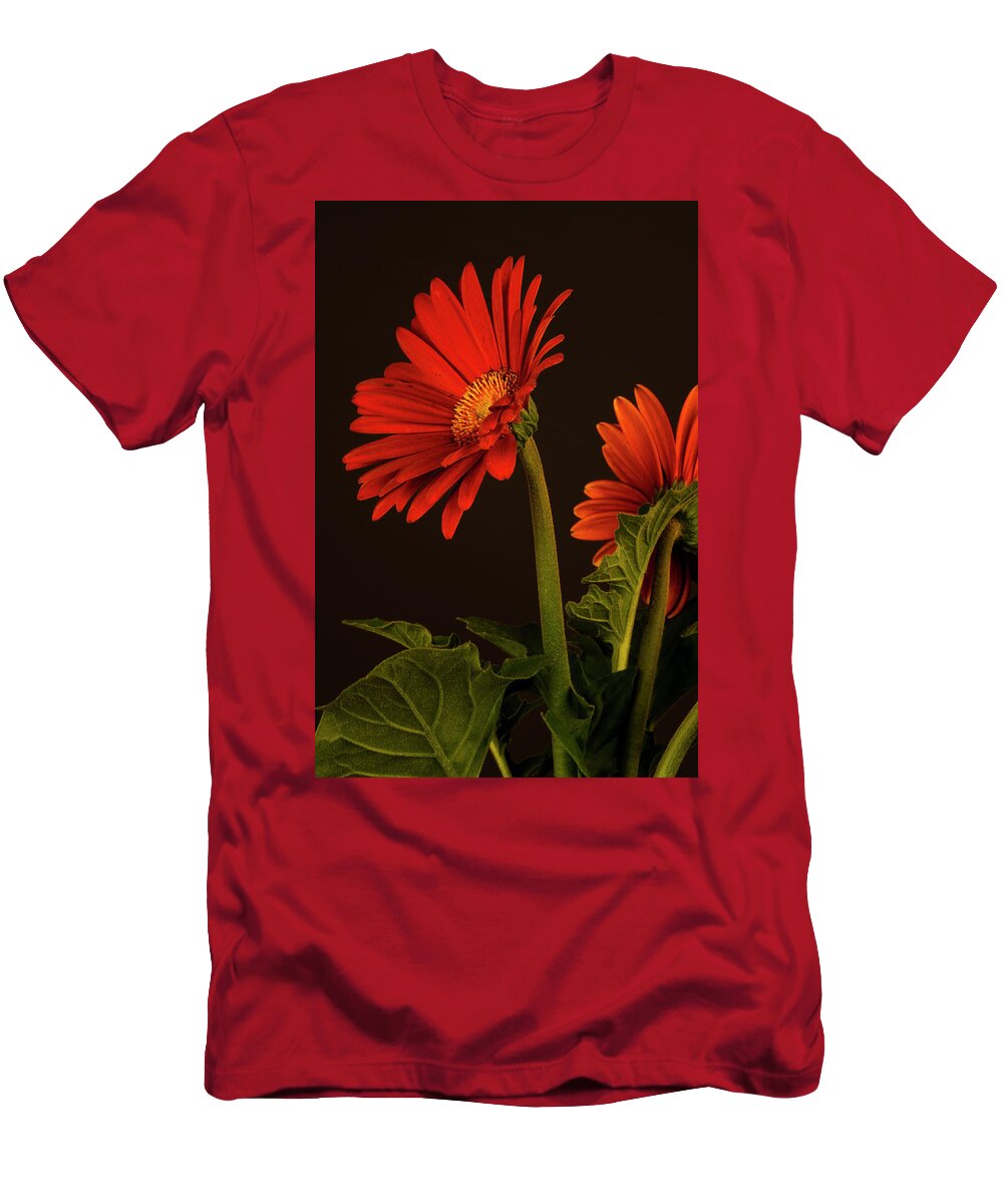 Red T-Shirt featuring the photograph Red Gerbera Daisy 1 by Richard Rizzo