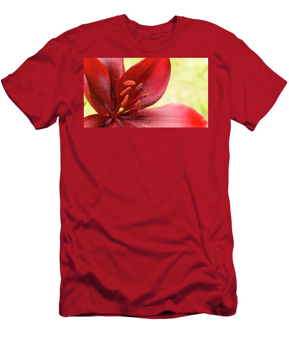 Red Lily T-Shirt featuring the photograph Red lily for wealth and prosperity. by Elena Perelman