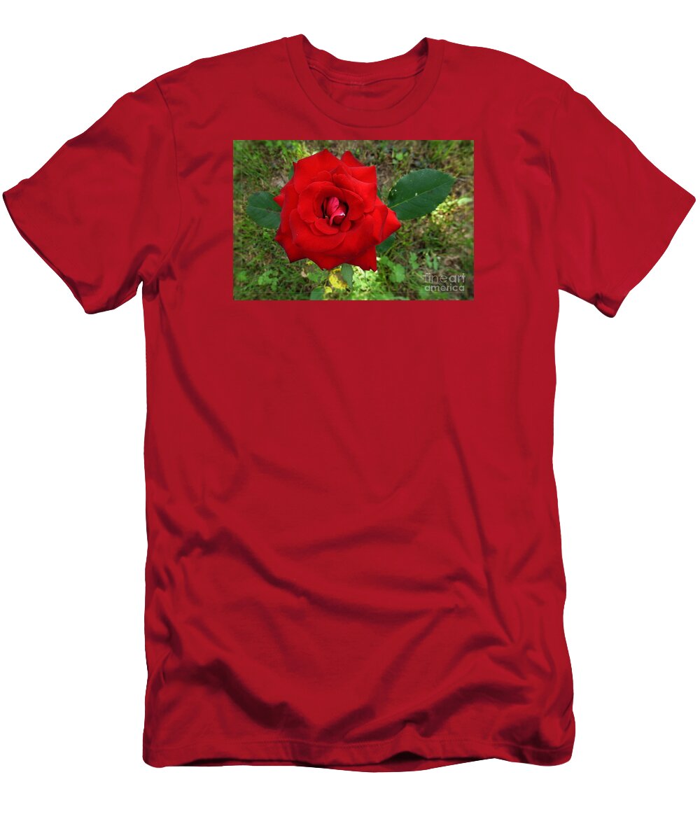 Ambiance T-Shirt featuring the photograph Red Rose by Jean Bernard Roussilhe