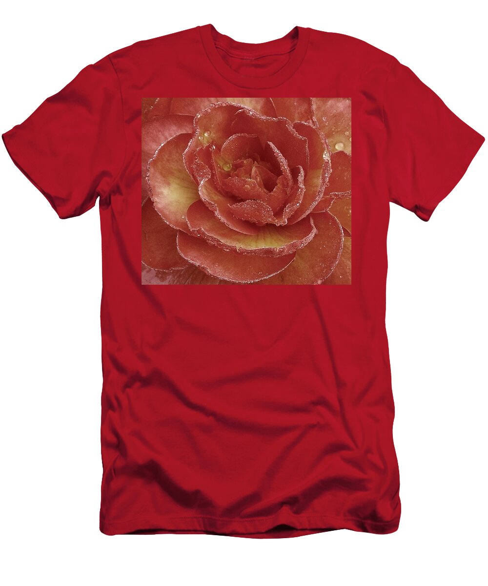 Flower T-Shirt featuring the photograph Renewal by Danielle R T Haney