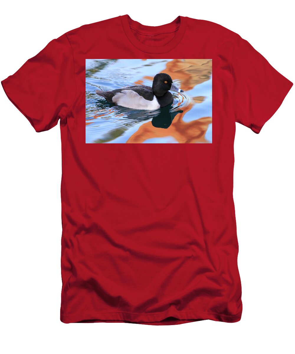 Ring-necked Duck T-Shirt featuring the photograph Ring-Necked Duck by Shoal Hollingsworth
