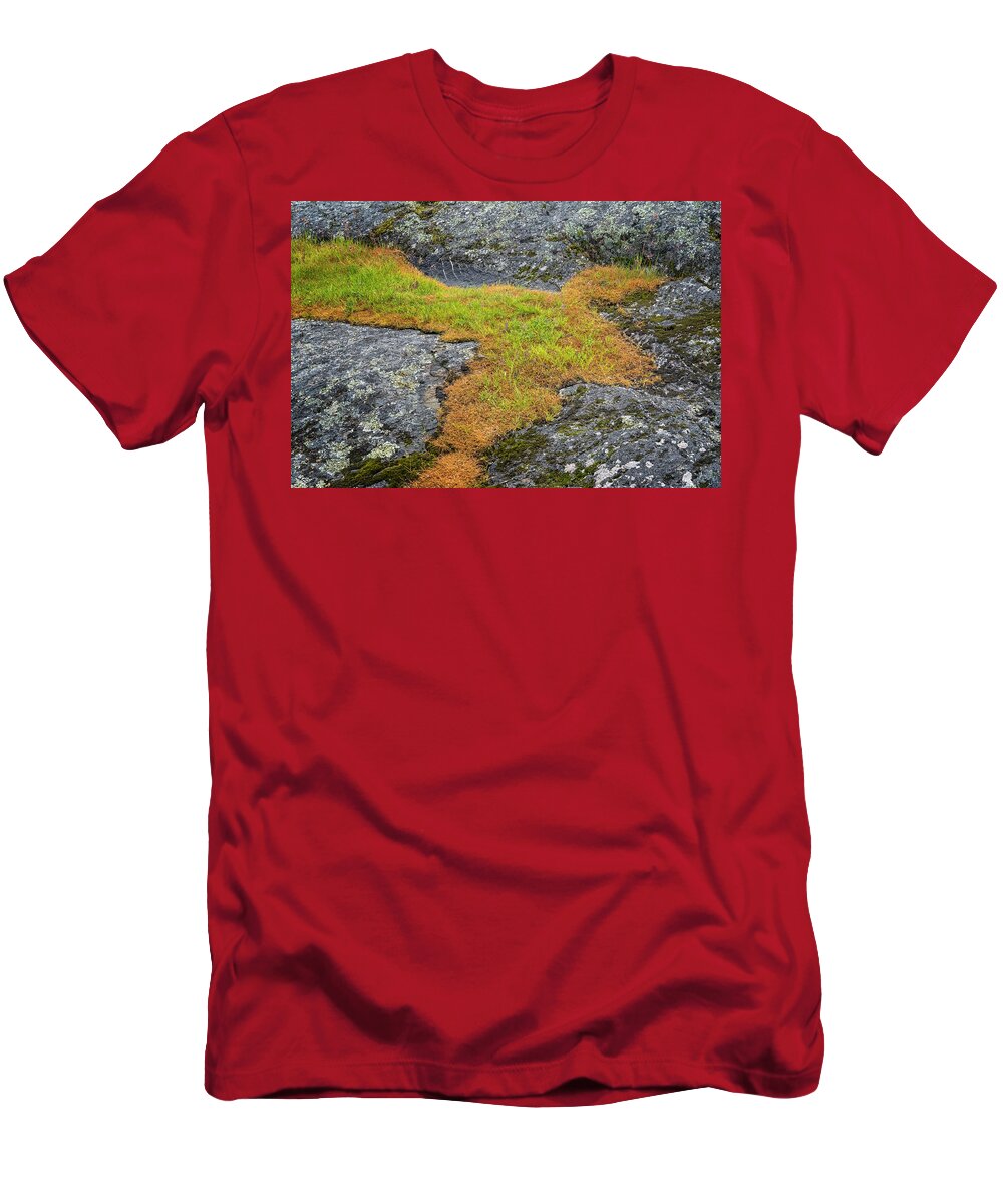 Oregon Coast T-Shirt featuring the photograph Rock And Grass by Tom Singleton