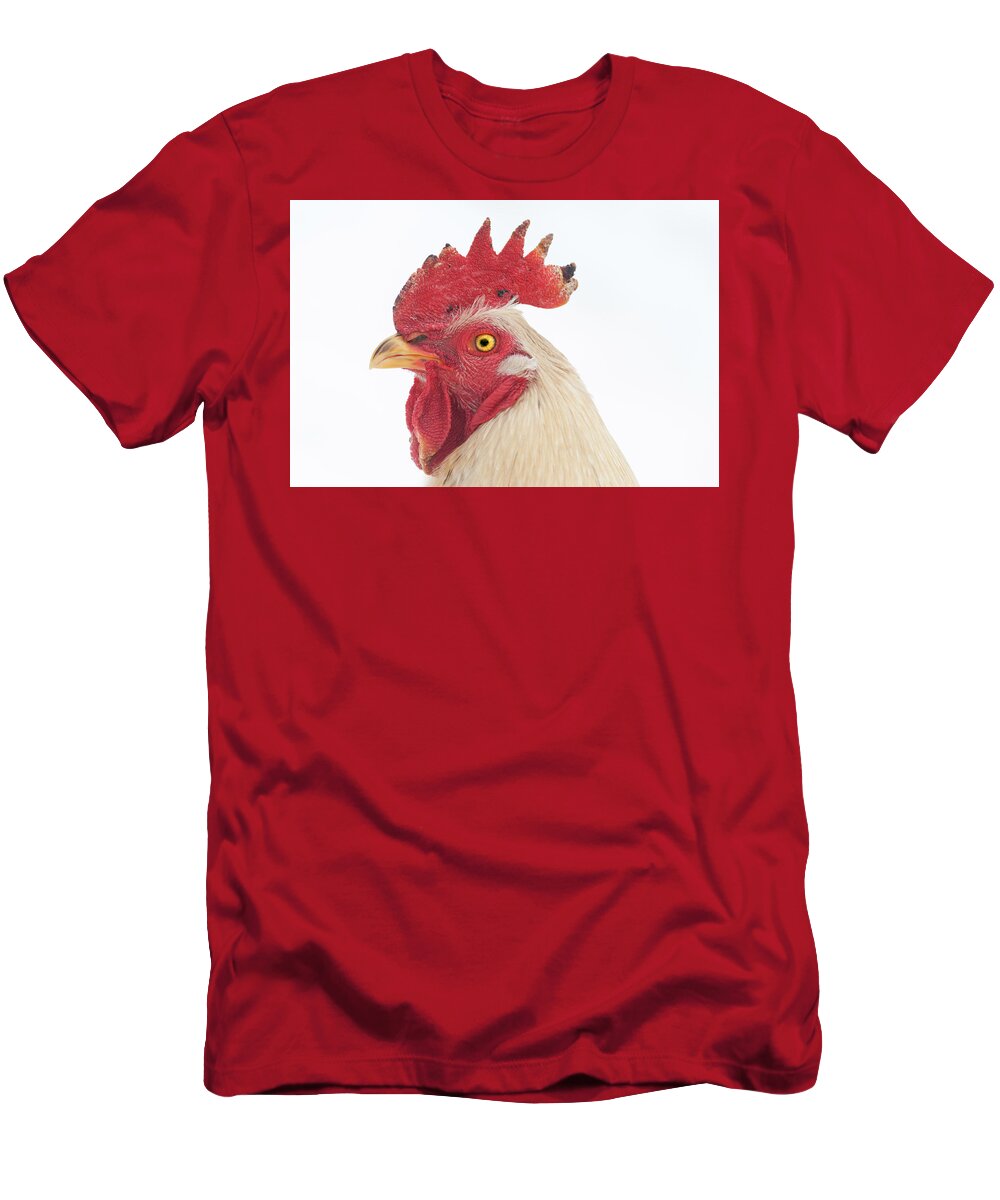 Chicken T-Shirt featuring the photograph Rooster Named Spot by Troy Stapek