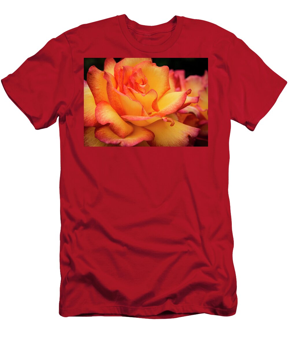 Jean Noren T-Shirt featuring the photograph Rose Beauty by Jean Noren