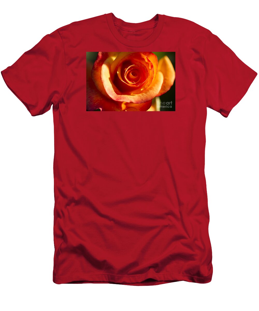 Flower T-Shirt featuring the photograph Rose Glow by Jeanette French