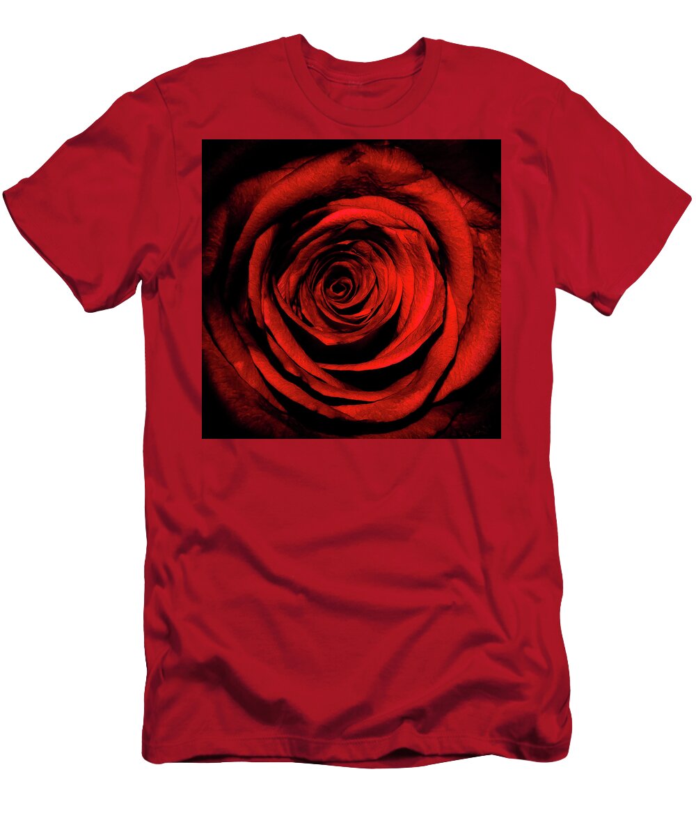 Rose T-Shirt featuring the photograph Rose by Lee Pirie
