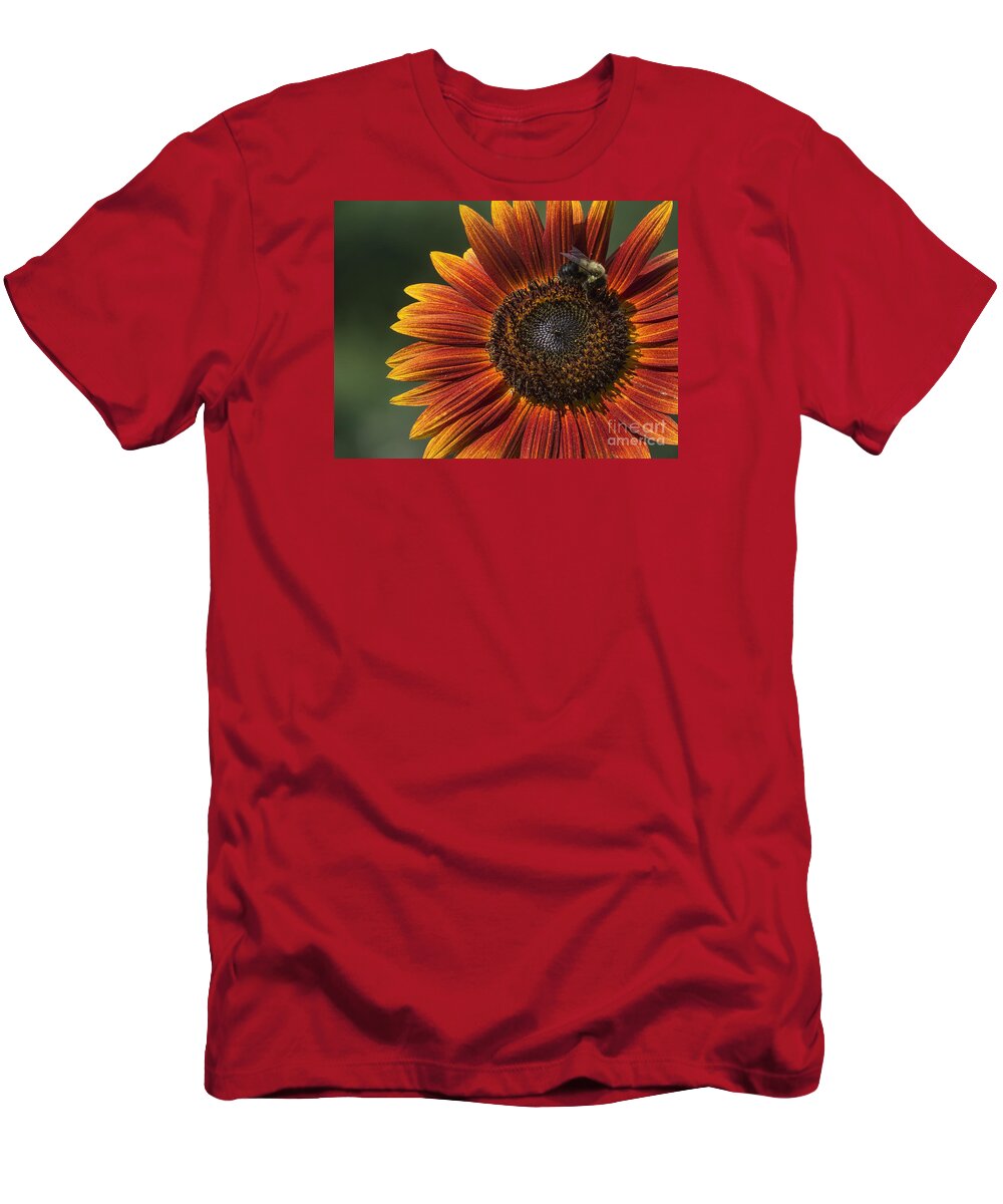 Flowers T-Shirt featuring the photograph Royal Harvest by Lili Feinstein