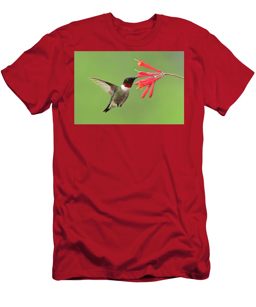Bird T-Shirt featuring the photograph Ruby-throated Hummer by Alan Lenk