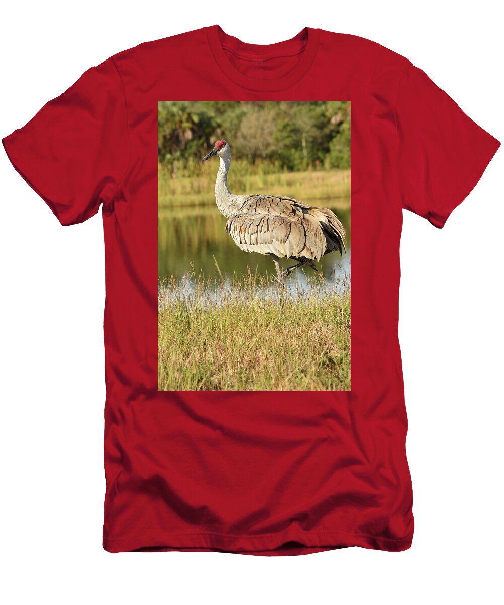 Crane T-Shirt featuring the photograph Sandhill Crane Standing Beside a Lake by Artful Imagery