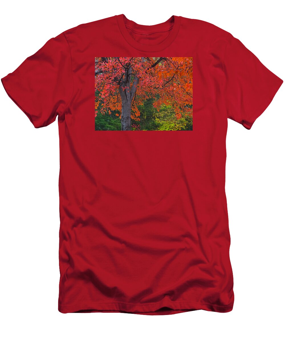 Foliage T-Shirt featuring the photograph Scarlet Tree by Diane Moore