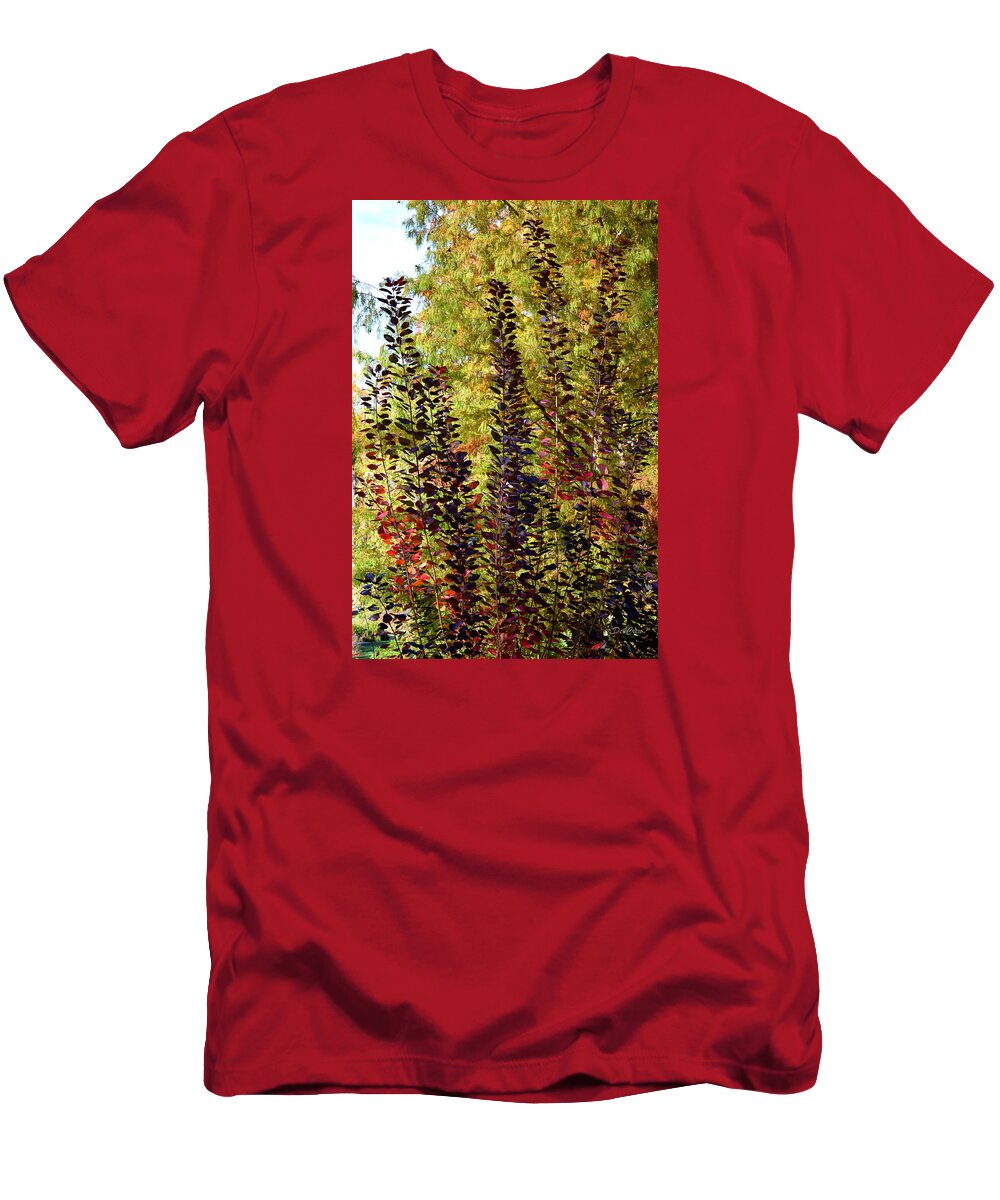 Fall T-Shirt featuring the photograph Shades of Fall by Deborah Crew-Johnson