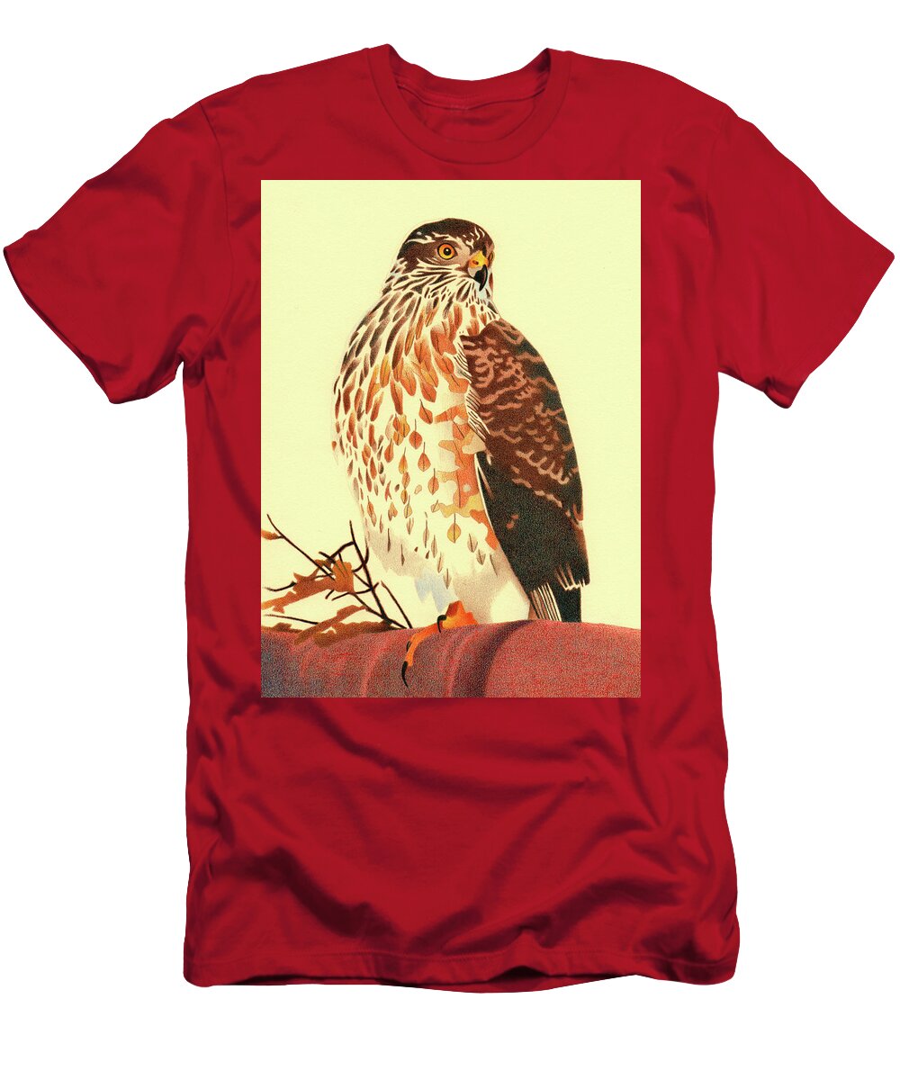 Art T-Shirt featuring the drawing Sharp-shinned Hawk by Dan Miller