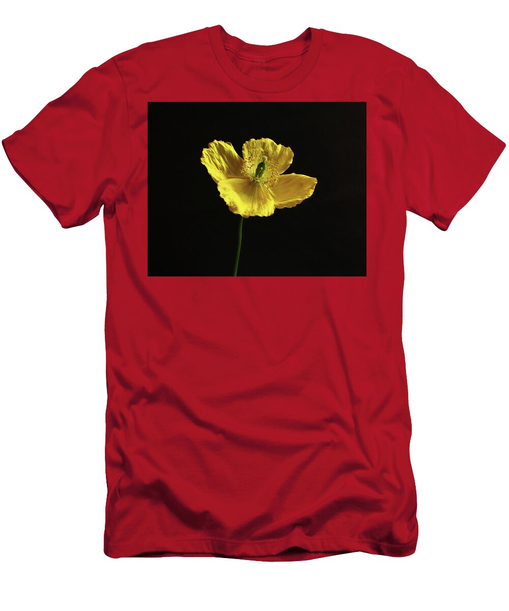 Welsh T-Shirt featuring the photograph Single Welsh Poppy by Jeff Townsend